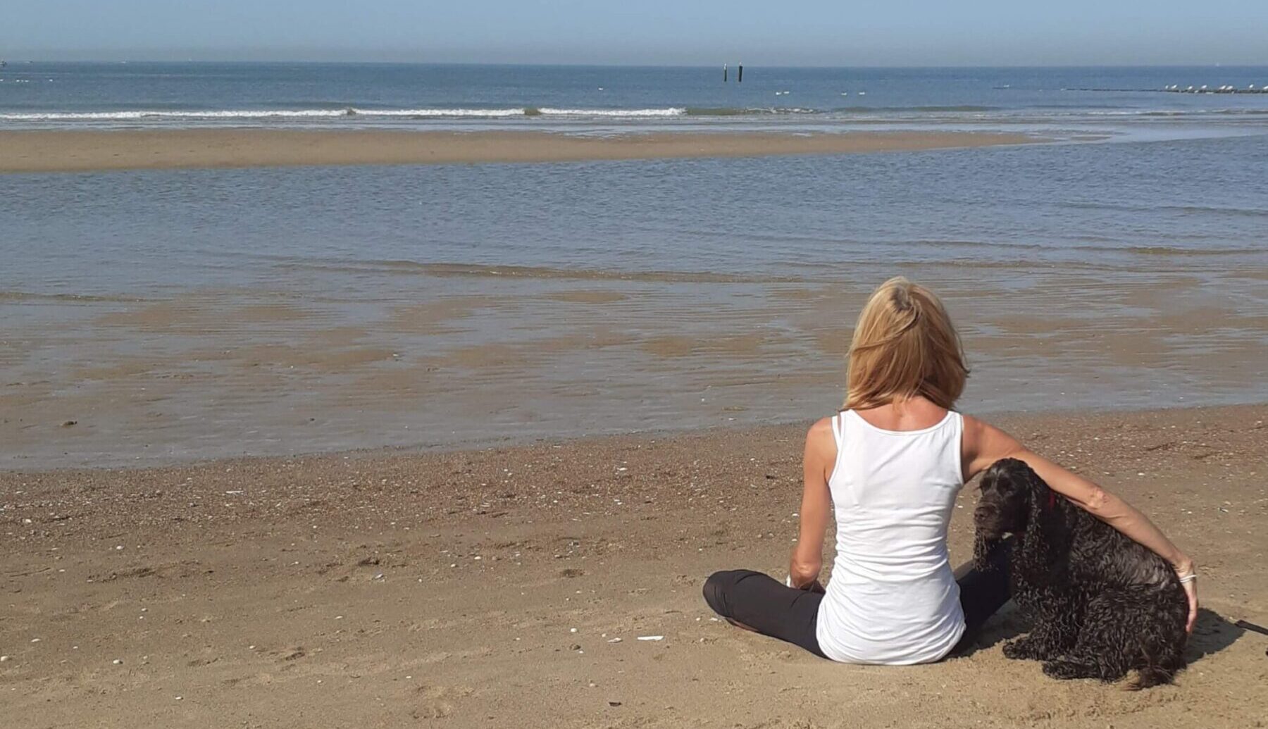stress burn out, ontspannen met je hond, online ontspanning, online cursus ontspanning